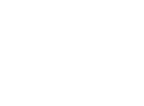 Logo 7