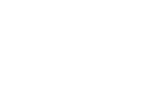 Logo 9