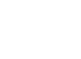 Logo 14